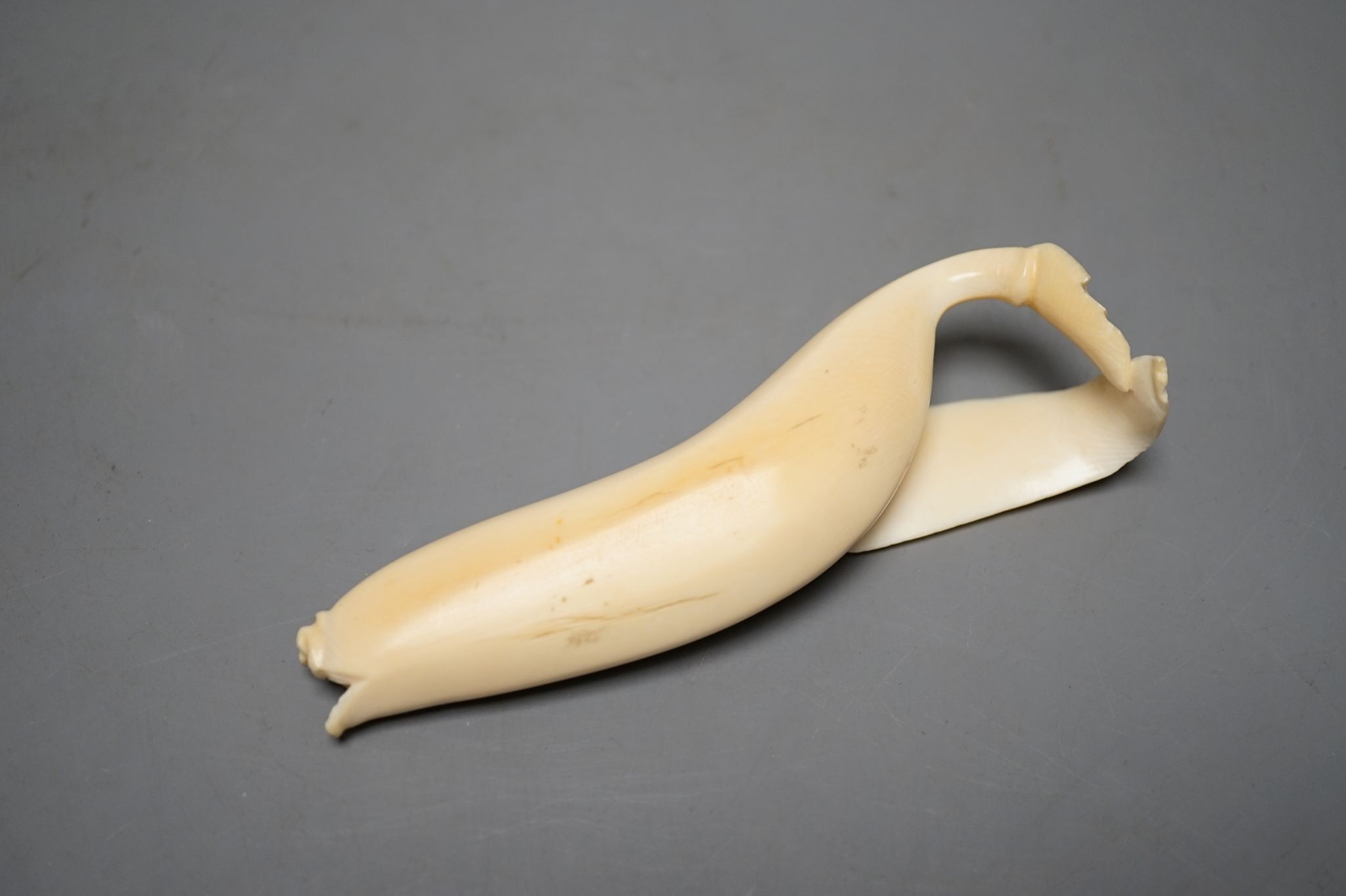 A Japanese ivory model of a banana, Meiji period 12cm